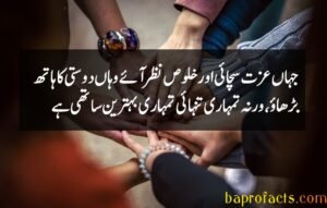 Friendship Quotes in Urdu 2 Lines