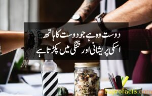 Friendship Quotes in Urdu 2 Lines