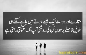 Friendship Quotes in Urdu 2 Lines