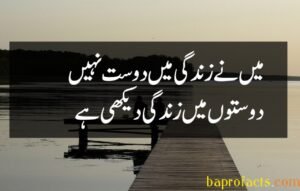 Friendship Quotes in Urdu 2 Lines