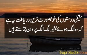 Friendship Quotes in Urdu 2 Lines