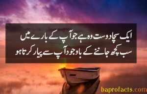 Friendship Quotes in Urdu 2 Lines