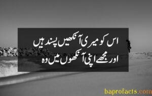 Ishq Poetry in Urdu 