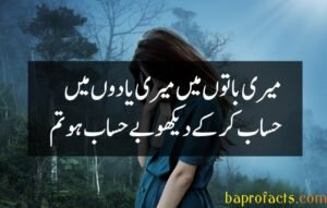 Ishq Poetry in Urdu 