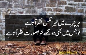 Ishq Poetry in Urdu 