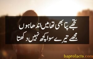 Ishq Poetry in Urdu 