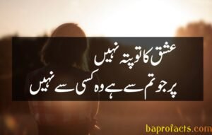 Ishq Poetry in Urdu 