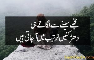 Ishq Poetry in Urdu 