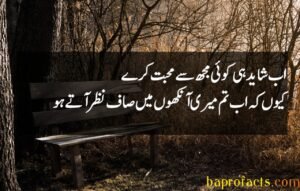 Ishq Poetry in Urdu