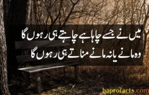 Ishq Poetry in Urdu