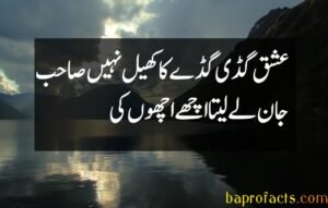 Ishq Poetry in Urdu 2 Lines 