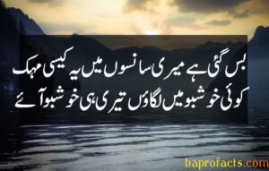 Ishq Poetry in Urdu 2 Lines 