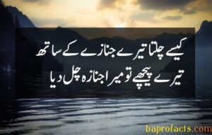 Ishq Poetry in Urdu 2 Lines 