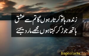 Ishq Poetry in Urdu 2 Lines 