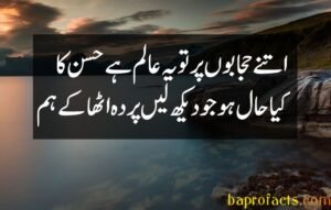 Ishq Poetry in Urdu 2 Lines 