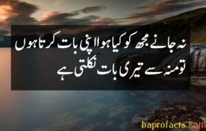 Ishq Poetry in Urdu 2 Lines 