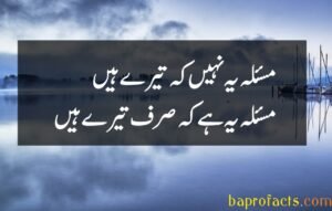 Ishq Poetry in Urdu 2 Lines 