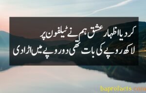 Ishq Poetry in Urdu 2 Lines 