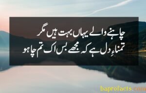 Ishq Poetry in Urdu 2 Lines 