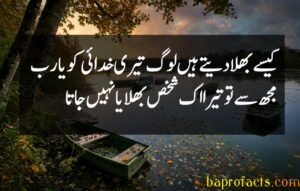 Ishq Poetry in Urdu 2 Lines 