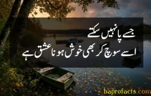 Ishq Poetry in Urdu 2 Lines 