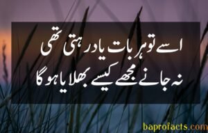 Bewafa Poetry in Urdu