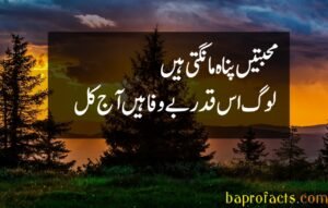 Bewafa Poetry in Urdu