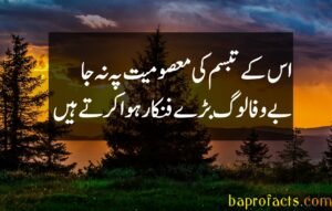 Bewafa Poetry in Urdu