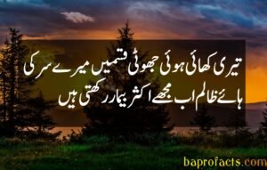 Bewafa Poetry in Urdu