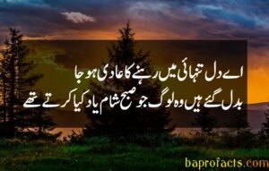 Bewafa Poetry in Urdu