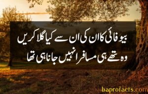 Bewafa Poetry in Urdu