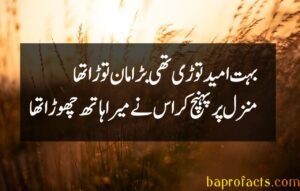 Bewafa Poetry in Urdu