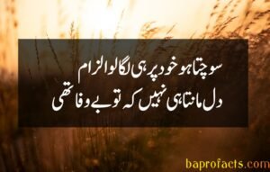 Bewafa Poetry in Urdu