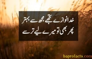 Bewafa Poetry in Urdu