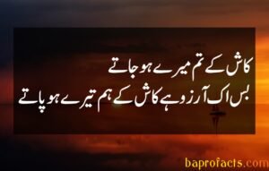 Bewafa Poetry in Urdu