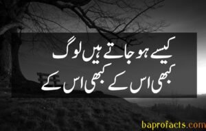 Bewafa Poetry in Urdu