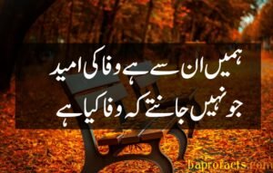 Bewafa Poetry in Urdu