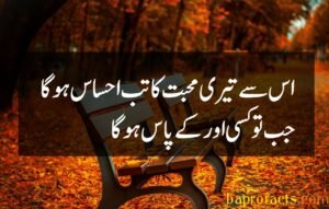 Bewafa Poetry in Urdu