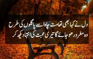 Bewafa Poetry in Urdu