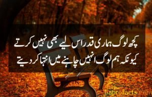 Bewafa Poetry in Urdu