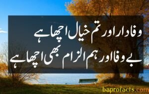 Bewafa Poetry in Urdu 2 Lines