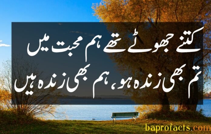 Bewafa Poetry in Urdu 2 Lines