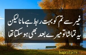 Bewafa Poetry in Urdu 2 Lines