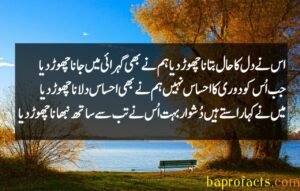 Bewafa Poetry in Urdu 2 Lines