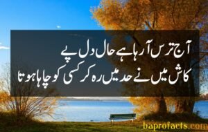 Bewafa Poetry in Urdu 2 Lines