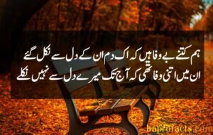 Bewafa Poetry in Urdu 2 Lines