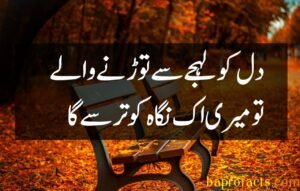 Bewafa Poetry in Urdu 2 Lines