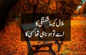 Bewafa Poetry in Urdu 2 Lines