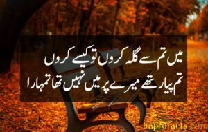 Bewafa Poetry in Urdu 2 Lines