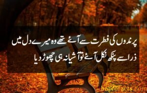 Bewafa Poetry in Urdu 2 Lines